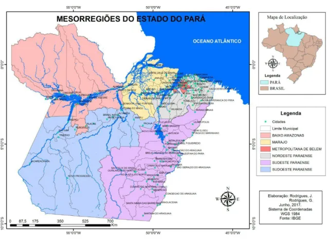 Figura 3: O estado do Pará por mesorregiões. 