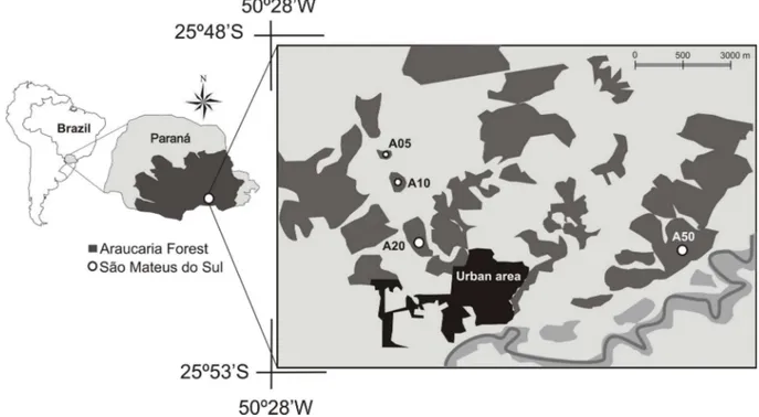 FiGUre 1. he restored mining areas (A05, A10, and A20) and control area (A50) located in São Mateus do Sul, state of Paraná, southern Brazil.
