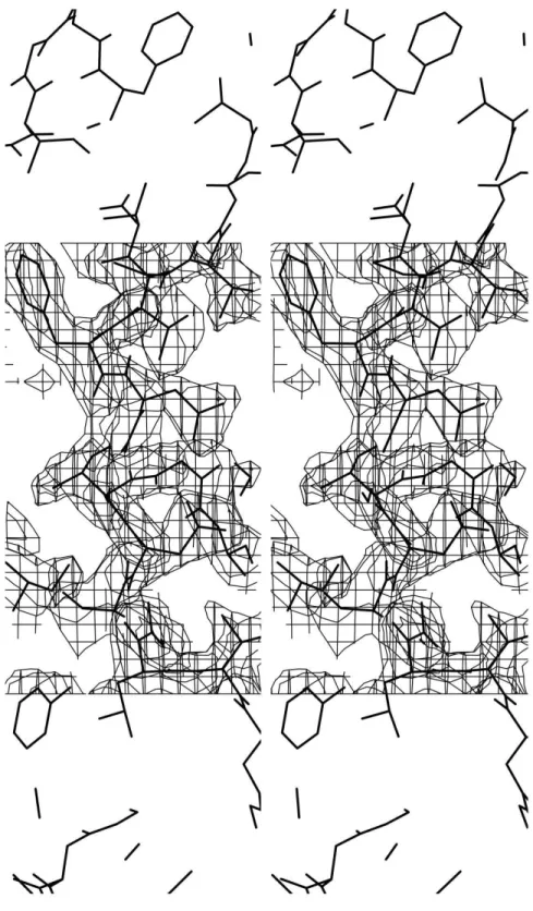 Fig. 6 shows the r.m.s.d. plot of the superposition of the uropepsin with the pepsin 3A