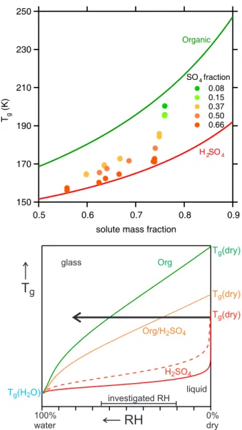 Fig. 6. Top: addition of H 2 SO 4 to an organic (here: glucose) leads to a strong reduction in T g at the same water content  (Pedern-era, 2008)