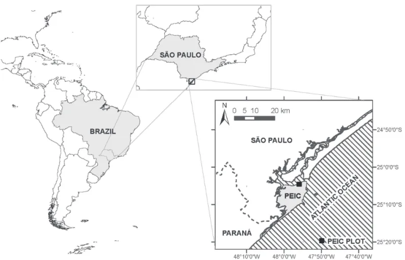 Figure 1. Location of the Parque Estadual da Ilha do Cardoso (PEIC) and the PEIC 10.24-ha forest plot.