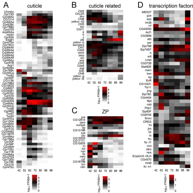 Fig 5. Heat maps for 4 groups of related genes. A. Annotated cuticle proteins. B. Genes with a known function in cuticle deposition or maturation