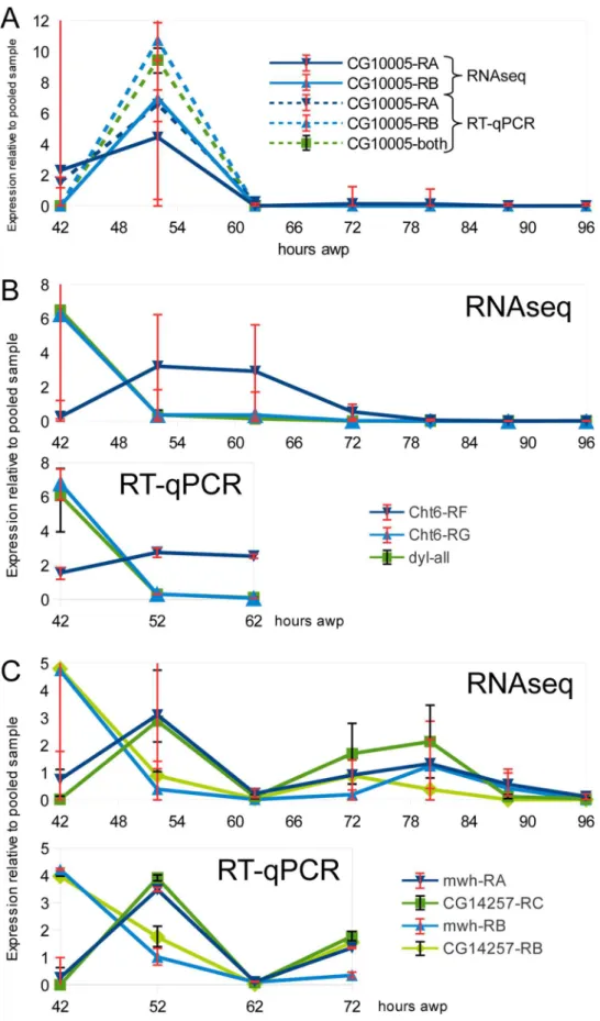 Fig 4. Similar results are obtained by both RNAseq and RT-qPCR. A. The relative gene expression patterns for the two mRNAs encoded by the CG1005 gene
