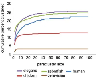 Figure 4. Species comparison of genome wide clustering metrics. Cumulative frequency distribution of the percentage of genes in paraclusters within the genomes of a selected set of species as a function of paracluster sizes.