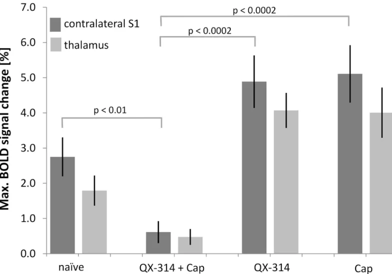 Fig 4. Pretreatment with capsaicin and QX-314 abolishes BOLD response. (a) Maximum BOLD signal changes of the S1 contralateral to the stimulated paw and the thalamus