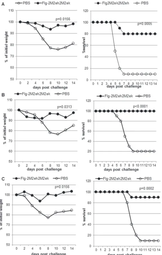 Fig 6. Efficacy of Flg-2M2eh2M2ek immunisation. Groups of 10 Balb/c mice were immunised with fusion protein Flg-2M2eh2M2ek