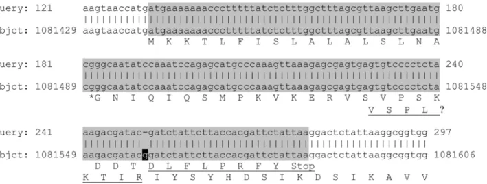 Figure 3. Blastn alignment of the re-sequenced nucleotide sequence (query) with the original genomic sequence (subject) of hp1019 