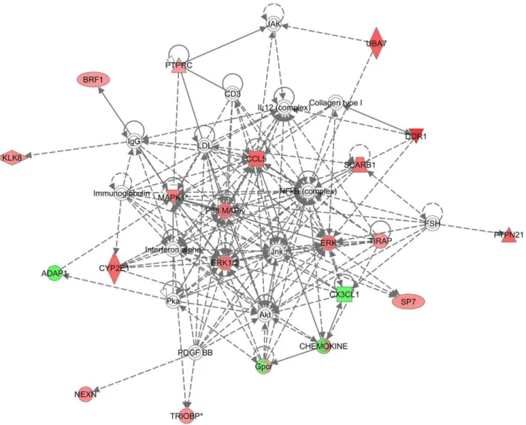 Figure 4. Top one network dysregulated in SIM2 low . This network contained 16 focus genes with a score of 29