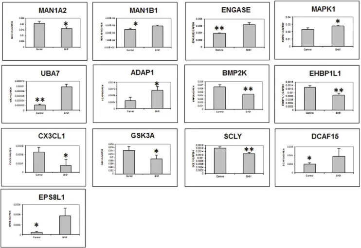 Figure 5. Validation of selected genes from stable transfectant by qRT-PCR. qRT-PCR validation of mRNA expression levels of individual genes was performed by two-step real-time RT-PCR analysis on Applied Biosystems 7900HT Prism instrument