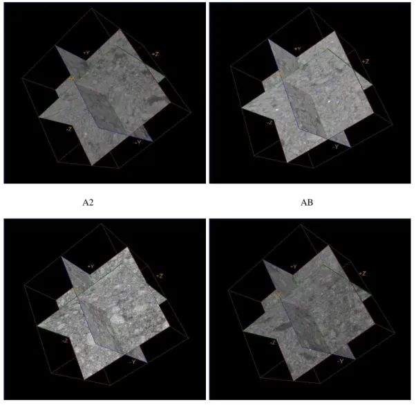 Fig. 1. Typical grey-scale CT imagery (orthogonal planes) of sub-volumes for each of the horizons studied