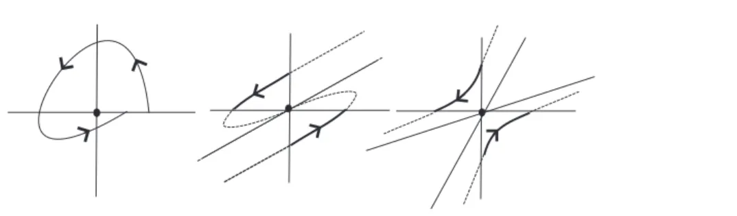 Figure 9. T-type singular points.