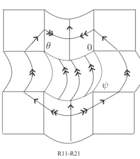 Figure 10. Transient vector field of (R 11 , R 21 ) type.