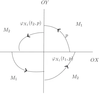 Figure 4. Transient vector fields around 0.