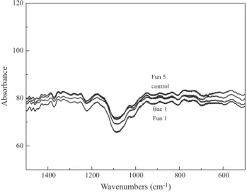 Figure 5. Comparison of Infrared Spectra for Control Sample and Polyurethane Foam Derived from Vegetable Origin Sample Subjected to Microorganism Attack