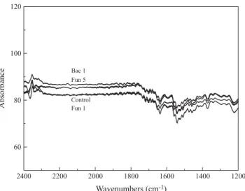 Figure 7. Comparison of Infrared Spectra for Control and Vegetable Origin Polyurethane Samples Subjected to Microorganism Attack