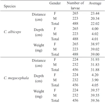 Table II. Distribution of C. albiceps and C. megacephala males (M) and females (F) according to each variable tested.