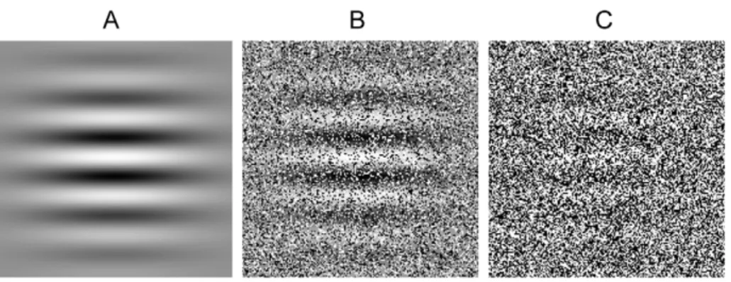 Figure 2. Subjective persistence of static form after motion offset. Times, post physical motion offset, at which observers reported that no coherent structure was visible in the display