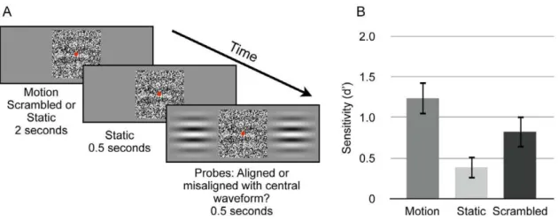 Figure 4. Experiment 3 procedure. A) Depiction of procedure for Experiment 3. Observers viewed two seconds of smooth motion, followed by a blank inter-stimulus-interval (ISI), after which two adjacent probes were presented that contained waveforms either a