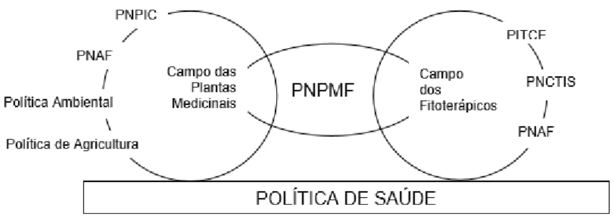 Figura 1: Campos da Política Nacional de Plantas Medicinais e Fitoterápicos.