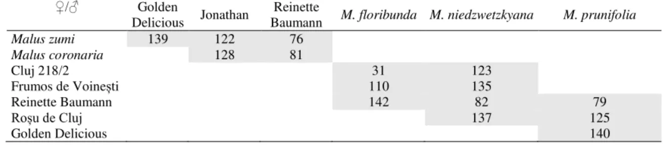 Table 1. Hybrid combinations and the number of F 1  hybrids  