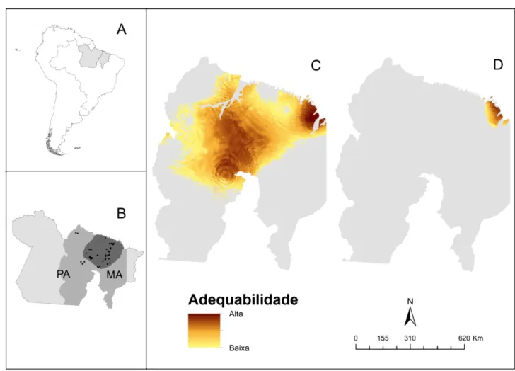 Fig  1.  Área  de  distribuição  e  adequabilidade  climática  para  a  espécie  Cebus  kaapori