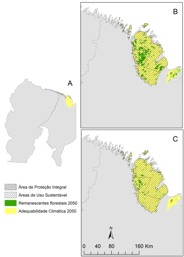 Fig 3. Área de adequabilidade climática para ocorrência da espécie Cebus kaapori considerando o 328 