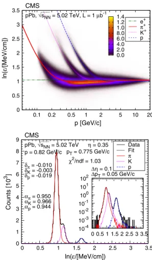 Fig. 2 Top distribution of ln ε as a function of total momentum p, for positively charged particles (ε is the most probable energy loss rate at a reference path length l 0 = 450 µm)