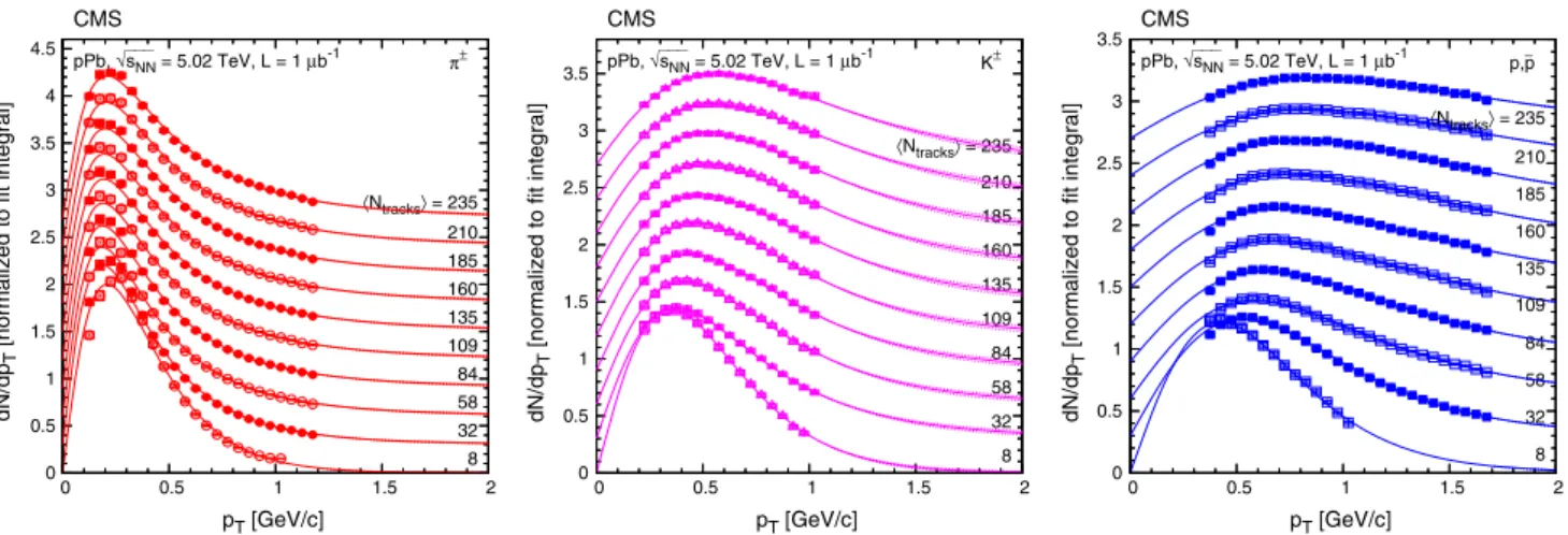 Fig. 6 Transverse momentum distributions of charged pions, kaons, and protons, normalized such that the fit integral is unity, in every second multiplicity class (N tracks  values are indicated) in the range |y| < 1, fitted with the Tsallis–Pareto par
