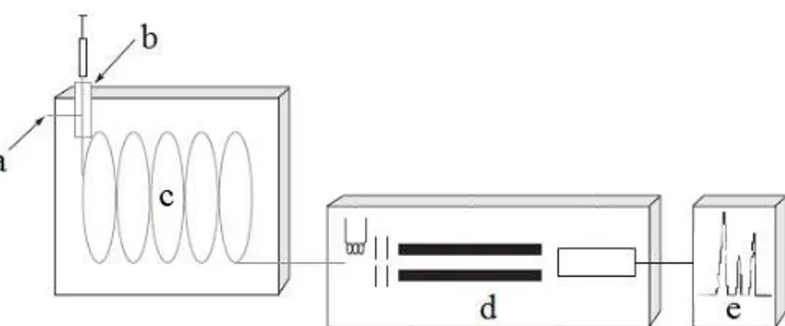 Figura 3.5 - Componentes básicos de um cromatógrafo gasoso; a) entrada do gás de arraste, b) injetor,  c) coluna, d) detector e e) registrador e cromatograma