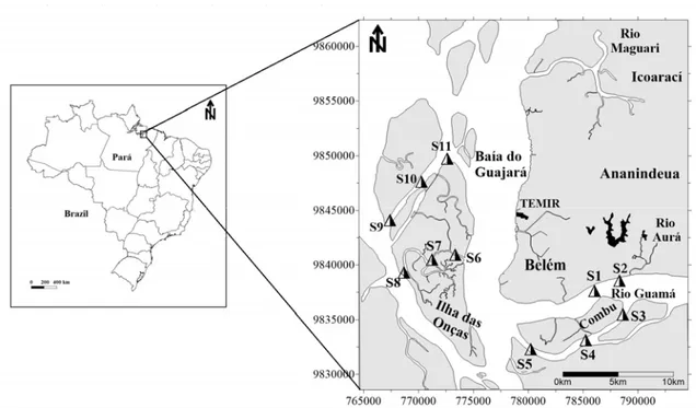 Figura 4.1 – Área de trabalho em Belém-PA e localização dos pontos de amostragem na porção insular  da cidade