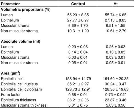 Table  2.  Morphometric  and  stereological  parameters  of  the  ventral  prostate  of  control adult Wistar rats and those treated with H