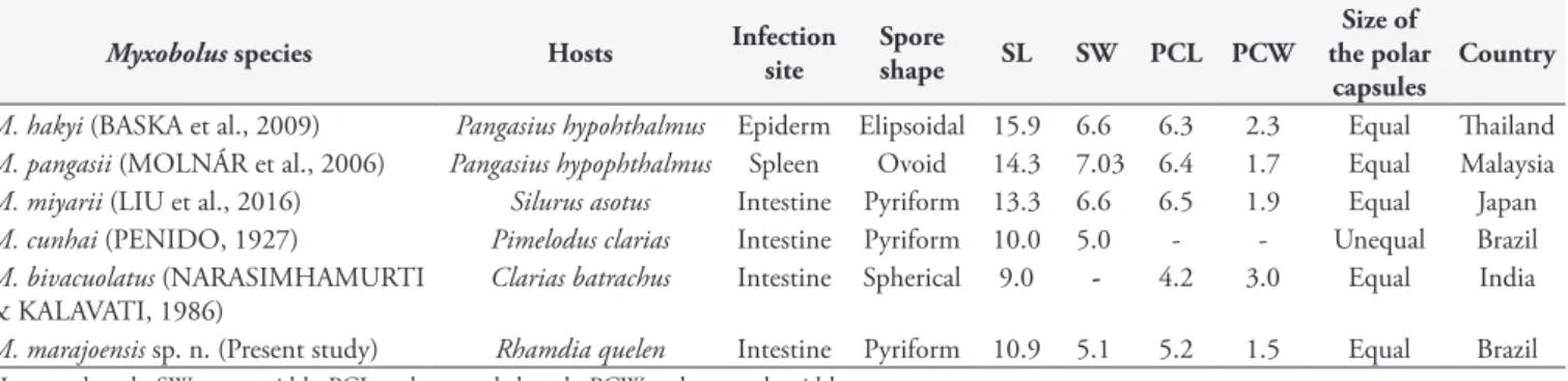 Table 2. P distance of some freshwater species of Myxobolus described in Siluriformes showing Genbank accessions after species name.