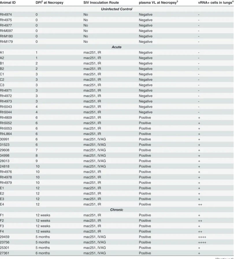 Table 1. SIV vRNA+ Cells in the Lungs of Macaques Infected with SIV 1 .