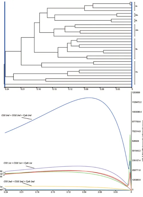 Figure 3. Phylogenetic informative proﬁles for all subsets used in this study. Ze. Zetherini; El