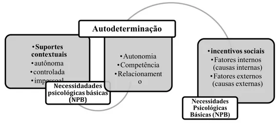 Figura 1 – da relação dialética do indivíduo motivado com o ambiente 