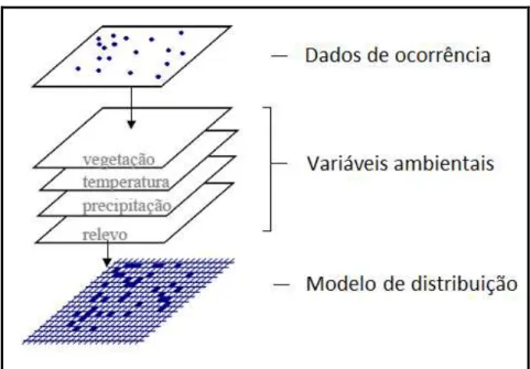 Figura 2: Esquema do processo de modelagem de distribuição potencial de espécie. 
