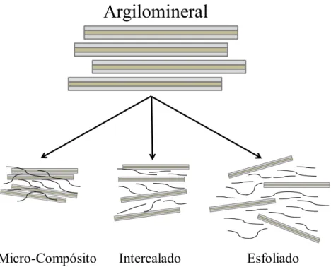 Figura 3. 13- Diferentes estruturas proposta para a interação de argilominerais e polímeros  Fonte: adaptado de Ruiz-Hitzky &amp; Van Meerbeek, 2006