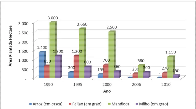 Gráfico 13 – Áreas (ha) com cultivos da agricultura familiar em Igarapé-Açu.