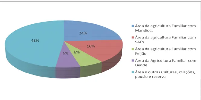 Gráfico 15 – Percentual por utilização das áreas da agricultura familiar, em Igarapé-Açu, em 2006.