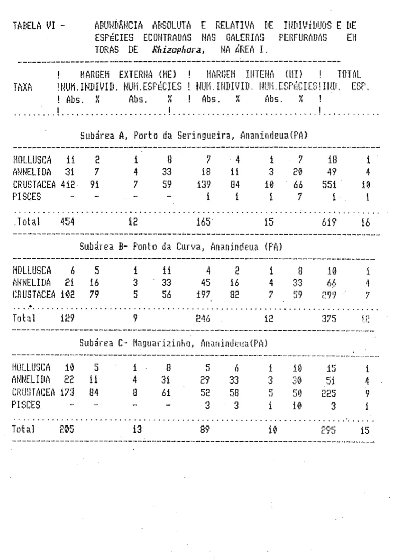 TABELA VI - ABUNÉJfiNCIA ABSOLUTA E RELATIVA DE ItíDIVxDUDS E HE  ESPÉCIES ECÜNTRADAS NAS GALERIAS PERFURADAS EU  TORAS DE Rhizophon, NA AREA I