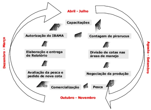 Figura  5.  Organograma  das  etapas  do  manejo  de  pirarucu  realizado  nas  Reservas  de  Desenvolvimento  Sustentável Amanã e Mamirauá