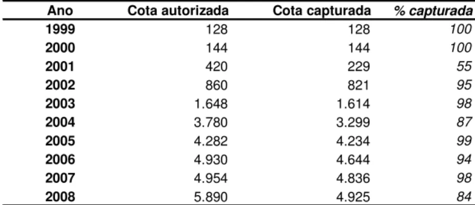 Tabela I. Relação entre a soma das cotas autorizadas e cotas capturadas em número de pirarucus dos setores  Jarauá, Tijuaca, Coraci e Maraã, Reservas de Desenvolvimento Sustentável Amanã e Mamirauá, entre 1999 e 2008  (Fonte: Banco de Dados PMP/IDSM)