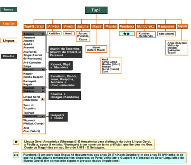 Figura 06: Tronco LinguísticoTupi 