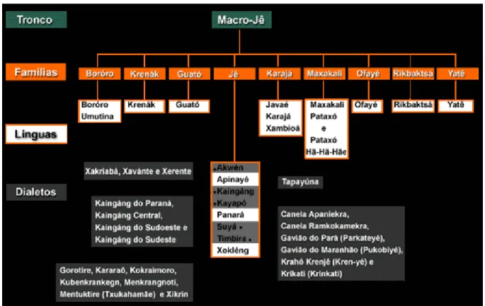 Figura 07: Tronco Linguístico Macro-Jê 