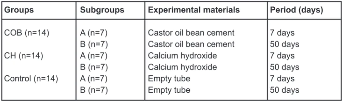 Figure 1- Schematic design of materials and methods