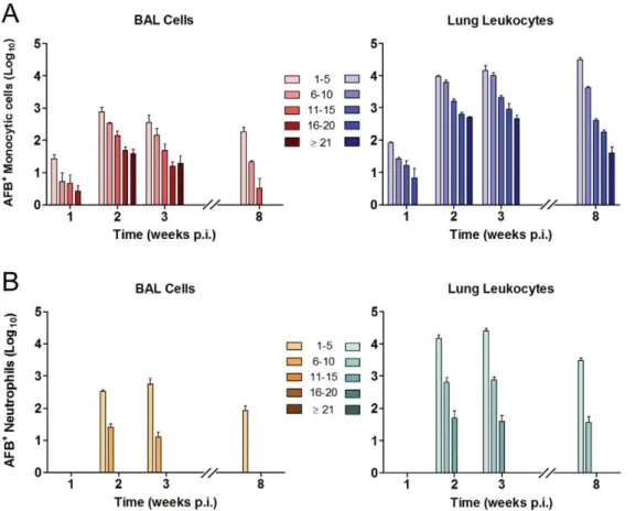 Figure 4. Distribution of intracellular bacillary load in lung phagocytes changes over time after aerogenic Mtb infection