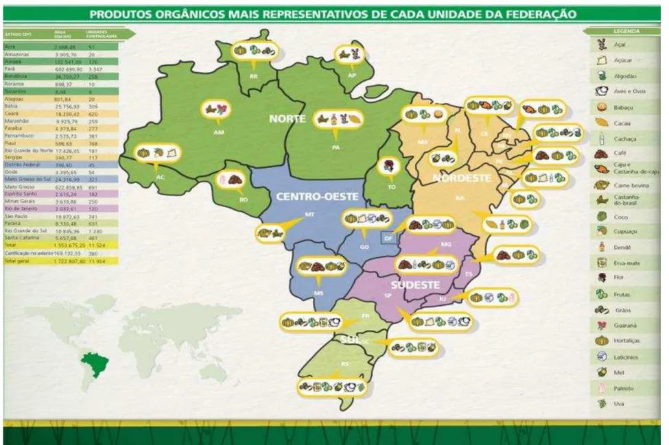 Figura 1 - Mapa com os produtos orgânicos mais representativos por Estado no Brasil 