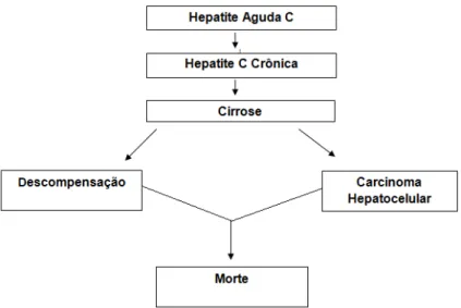 Figura 4 - História natural da hepatite C. 