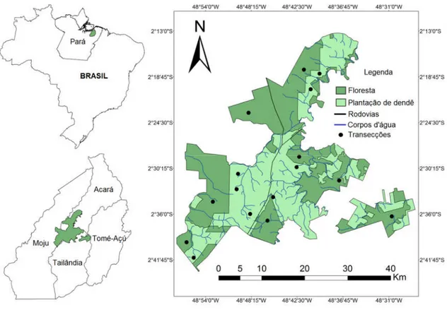 Figura 1. Localização da área de estudo no estado do Pará e nos municípios de Moju, Acará,  Tailândia  e  Tomé-açu