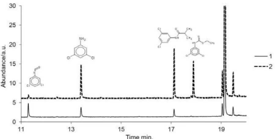 Figure 2. Normalized GS-MS traces of procymidone after 5 hrs of sunlight irradiation without additive (1)  and with addition of ammonium ferric citrate (2).